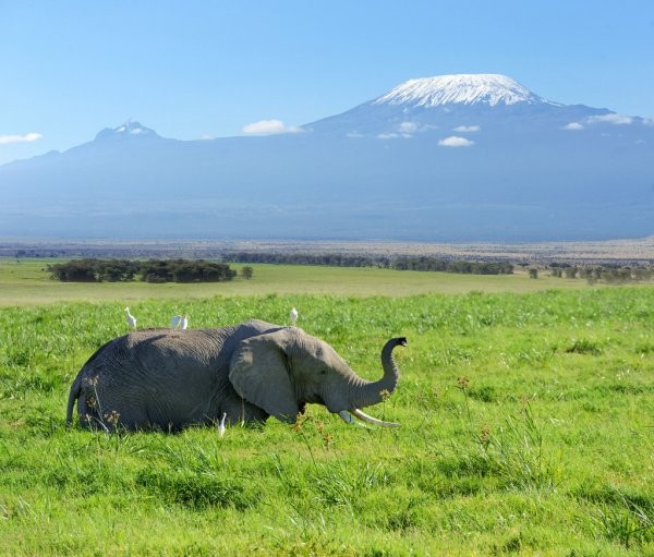 10 days Tanzania safari Tour to Tarangire, Lake Manyara, Lake Natron, Serengeti, Ngorongoro Crater, and Lake Eyasi